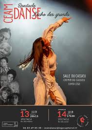 Spectacle CEAM Danse